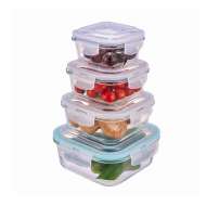 Glass Food Storage Containers With Lids Airtight Square