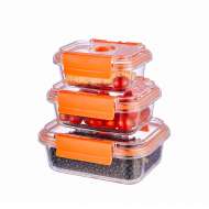 High Borosilicate Glass Vacuum Food Containers with Pump Meal Prep