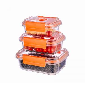High Borosilicate Glass Vacuum Food Containers with Pump Meal Prep